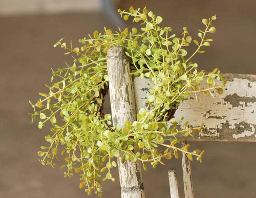 Baby Grass Peppergrass Candle Rings / 10 Inch